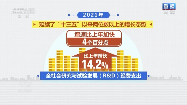 澳门王中王;'文化、经济与社会的深度解析